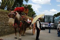 Sizilien (195 von 565).jpg